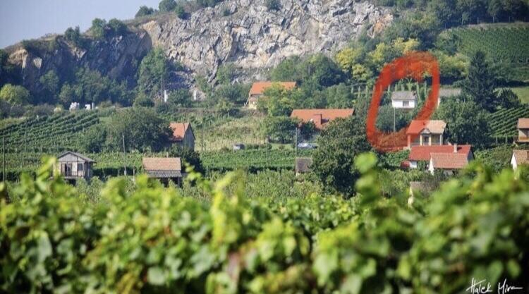 Boraszporta - Preshaz Hotel Villány Eksteriør billede