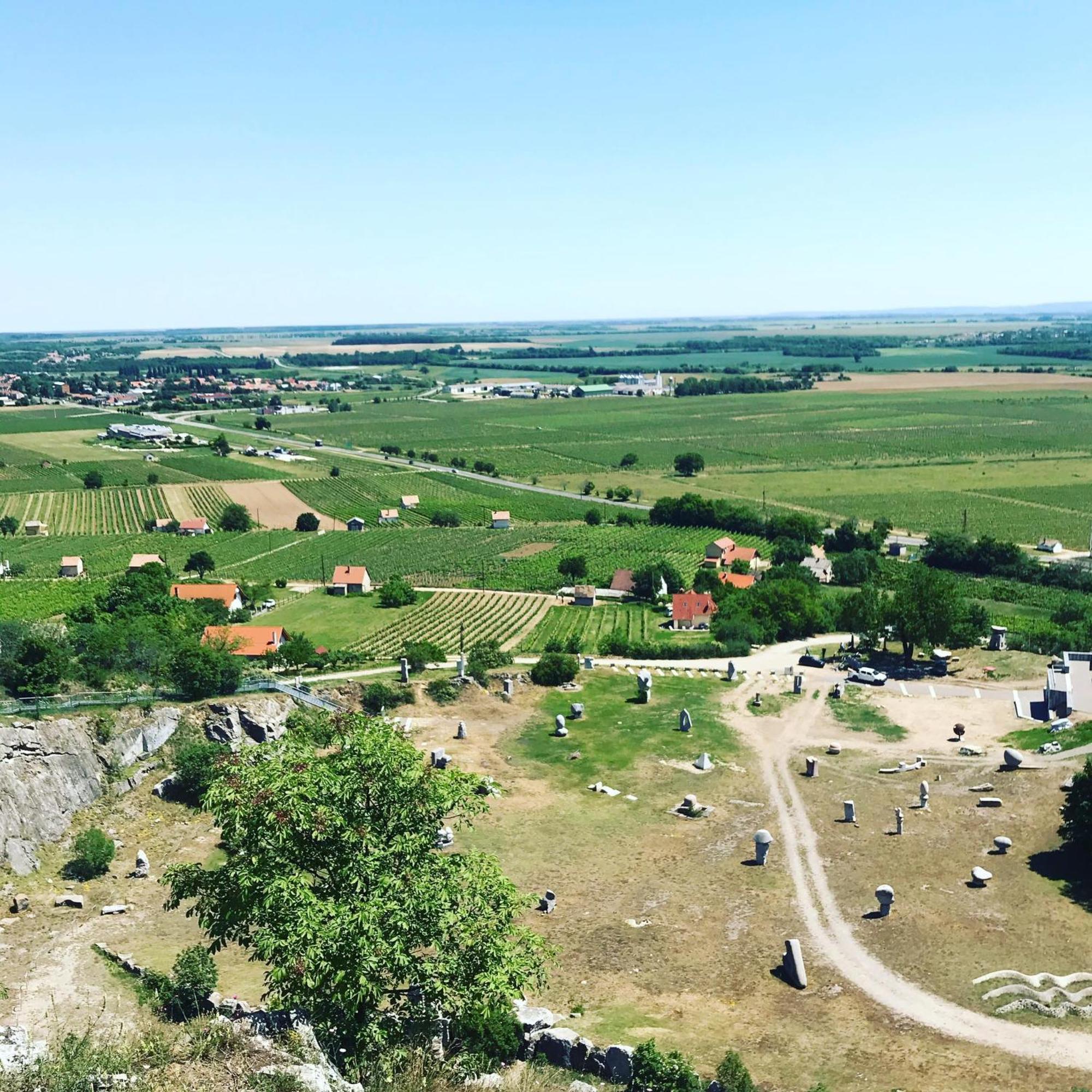 Boraszporta - Preshaz Hotel Villány Eksteriør billede